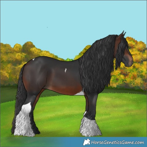 Horse Color:Brown Tobiano 