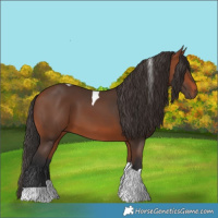 Horse Color:Bay Tobiano
