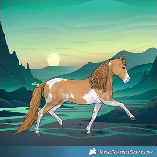 Horse Color:Chestnut Sabino Tobiano