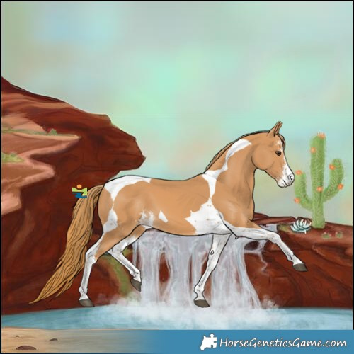 Horse Color:Chestnut Sabino Tobiano 