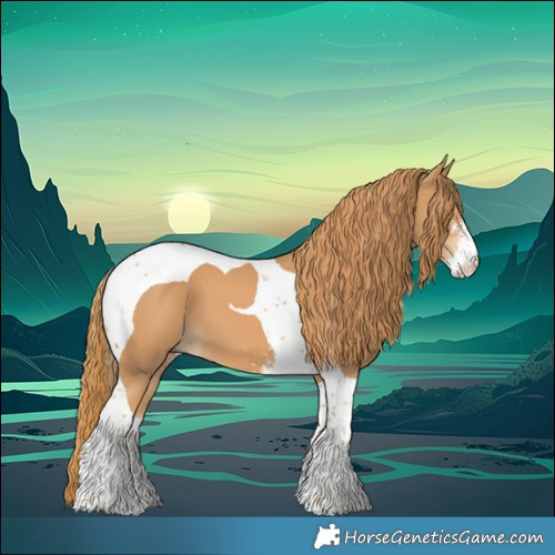 Horse Color:Chestnut Sabino Tobiano