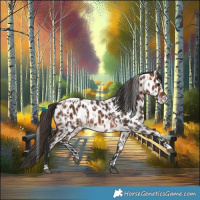 Horse Color:Bay Leopard and Bay Leopard