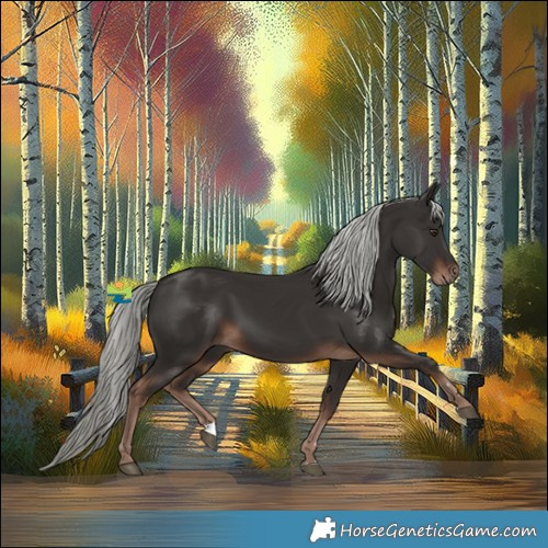 Horse Color:Liver Chestnut Mushroom