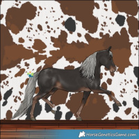 Horse Color:Liver Chestnut Mushroom