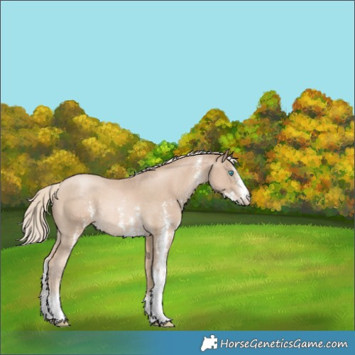 Horse Color:Chocolate Palomino Pearl Sabino Rabicano 