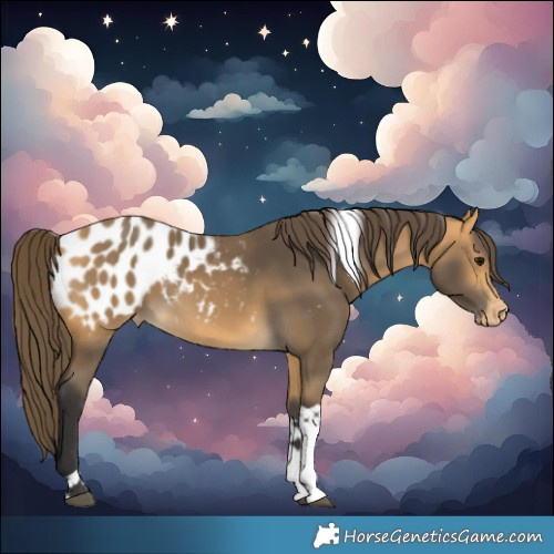 Horse Color:Buckskin Tobiano Blanket 