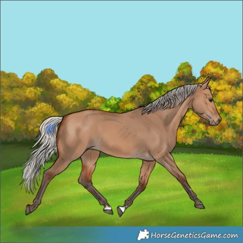 Horse Color:Silver Bay Dun 
