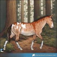 Horse Color:Bay Dun Blanket Rabicano Brindle