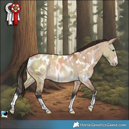 Horse Color:Bay Dun Near Leopard Rabicano Brindle 