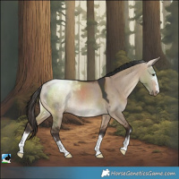 Horse Color:Bay Dun Varnish Rabicano 
