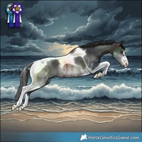 Horse Color:Brown Tobiano Rabicano 