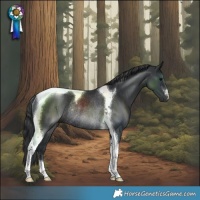 Horse Color:Black Tobiano Rabicano