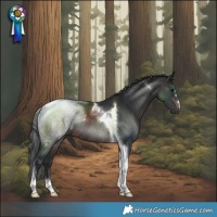 Horse Color:Brown Tobiano Rabicano 
