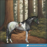Horse Color:Brown Tobiano Rabicano