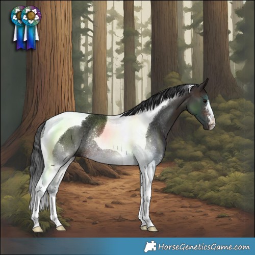 Horse Color:Brown Tobiano Rabicano 