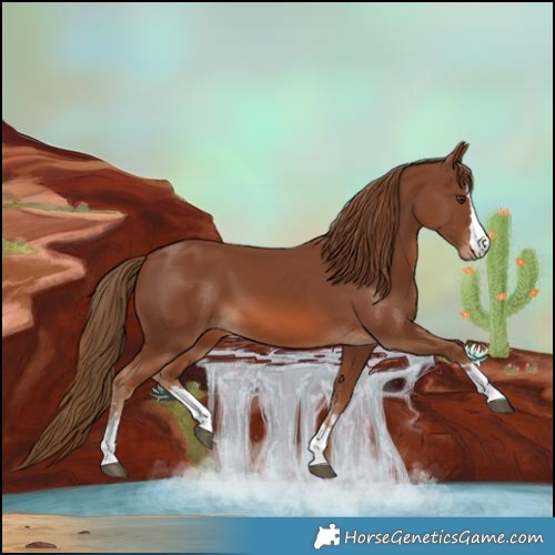Horse Color:Chestnut 