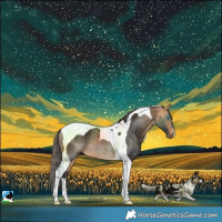 Horse Color:Buckskin Merle Tobiano 
