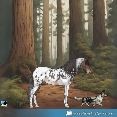 Horse Color:Brown Merle Tobiano Skewed LP Spotted Rabicano