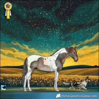 Horse Color:Brown Merle Tobiano 