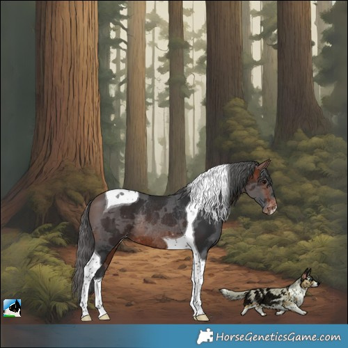 Horse Color:Bay Merle Tobiano Skewed LP Spotted Rabicano