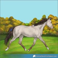 Horse Color:Classic Champagne Dun 