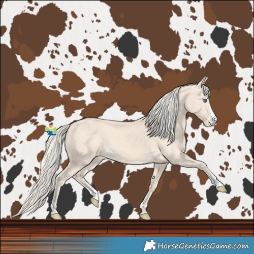 Horse Color:Cremello Varnish 