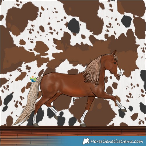Horse Color:Chestnut Varnish 