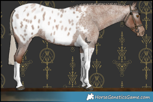 Horse Color:Gray Silver Blue Roan Pearl Tobiano Blanket