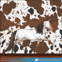 Horse Color:Amber Champagne Roan Near Fewspot 