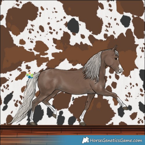 Horse Color:Silver Black 