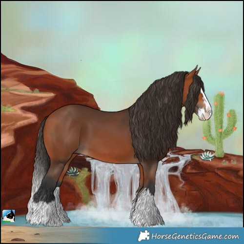 Horse Color:Bay Splash 