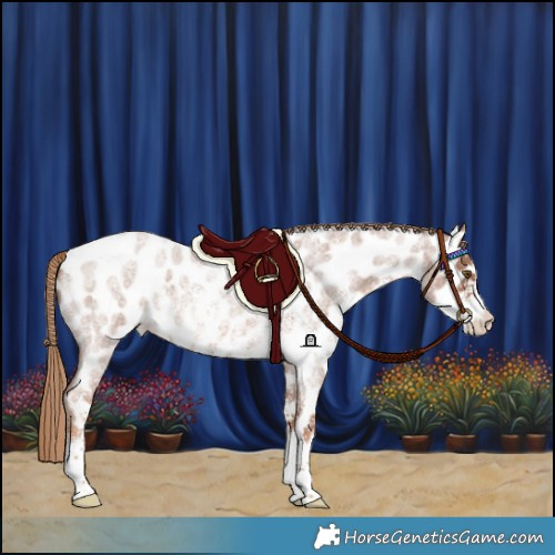 Horse Color:Red Roan Sabino Near Leopard