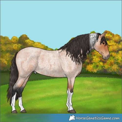 Horse Color:Bay Roan Tobiano