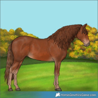 Horse Color:Chestnut 