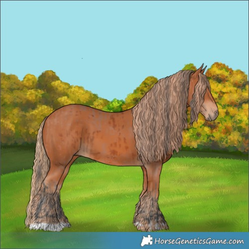 Horse Color:Bay Merle  and Chestnut 