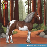 Horse Color:Silver Bay Tobiano Rabicano