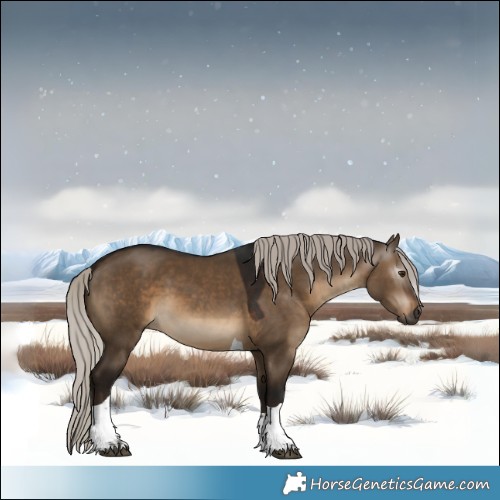 Horse Color:Gray Silver Bay Dun Tobiano 