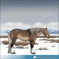 Horse Color:Gray Silver Bay Dun Tobiano