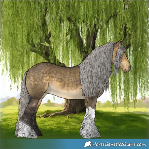 Horse Color:Silver Buckskin Dun Tobiano