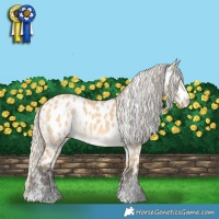Horse Color:Silver Buckskin Dun Near Leopard Rabicano
