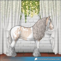 Horse Color:Silver Bay Dun Tobiano Blanket Rabicano