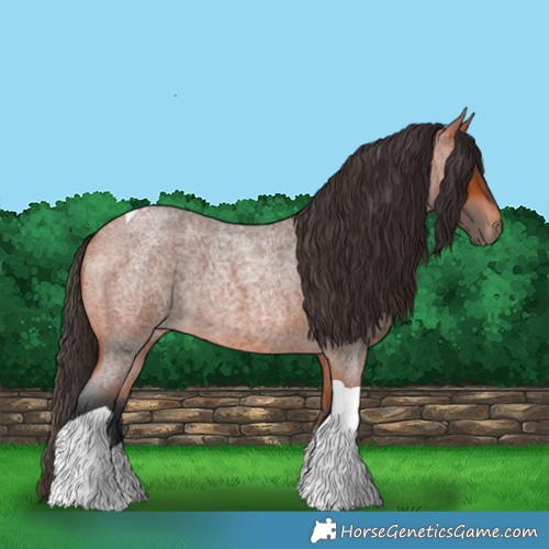 Horse Color:Bay Roan Tobiano