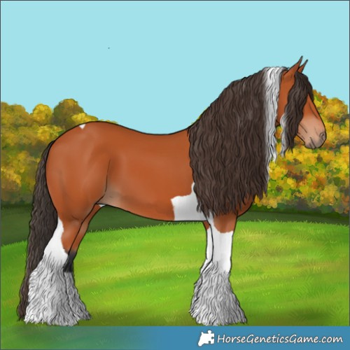 Horse Color:Bay Tobiano 