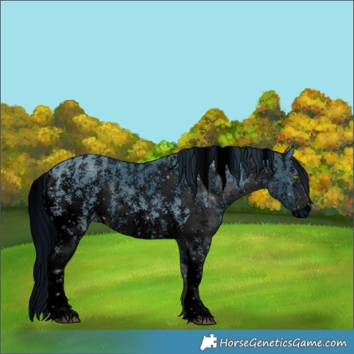 Horse Color:ERROR: UNKNOWN ANOMALY