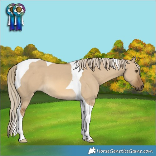 Horse Color:Chocolate Palomino Dun Tobiano 