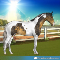 Horse Color:Silver Buckskin Tobiano 