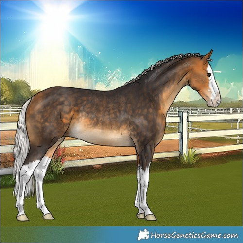 Horse Color:Silver Buckskin Splash Rabicano 
