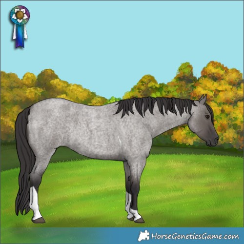Horse Color:Smoky Grullo Roan Tobiano Rabicano