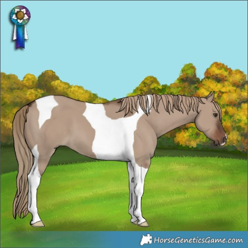 Horse Color:Liver Red Dun Tobiano