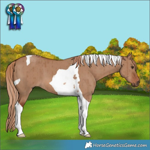Horse Color:Red Dun Tobiano Brindle